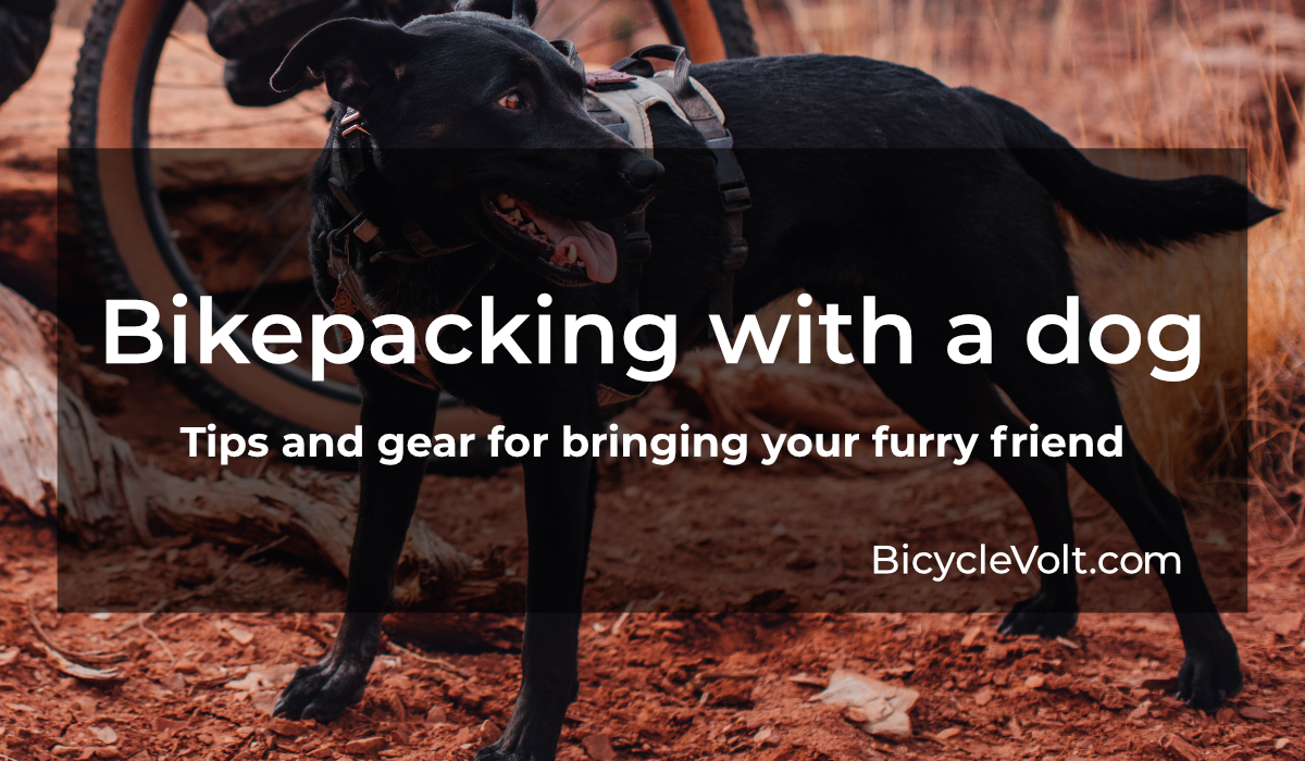 Bringing Your Furry Friend: Tips and Gear for Bikepacking with a Dog